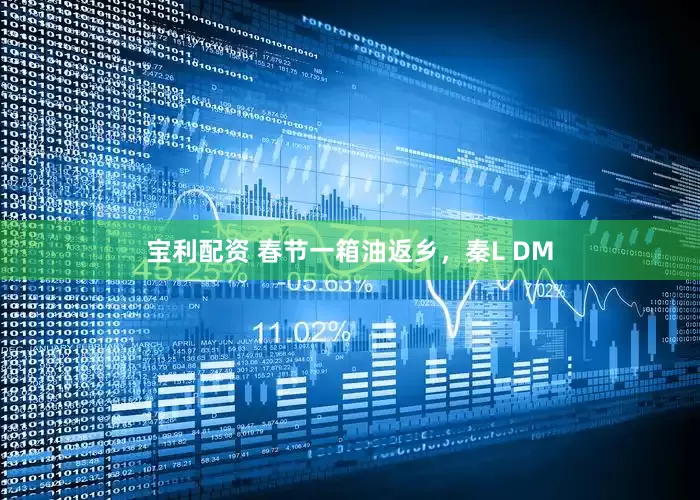 宝利配资 春节一箱油返乡，秦L DM